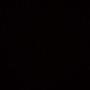 Meet your Posher, Celia